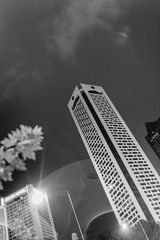 0O3A7461-2013