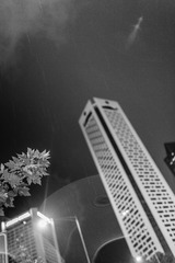 0O3A7462-2013