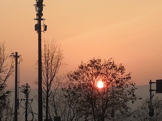 2245896