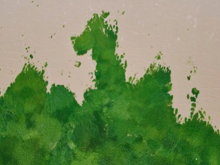EA4F57E9-E821-4B26-9EE5-D9FA0675C746/L0/001