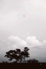 E23184B9-04C2-4BD7-9B6D-B628FDDE8ABD/L0/001