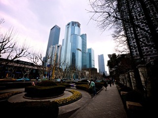 P1010151.jpg