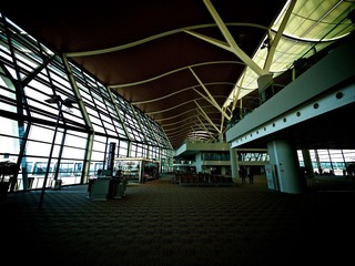 P1010132.jpg