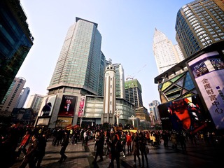 P1010161.jpg