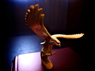 P1010017.jpg