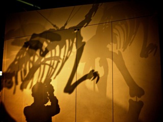 P1010349 (1).jpg