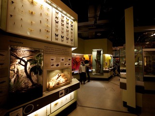 P1010390.jpg