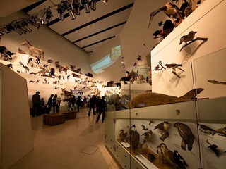 P1010414.jpg