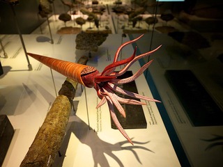 P1010440.jpg