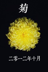 DSC00362.jpg