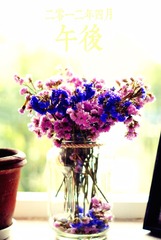 DSC02470.jpg