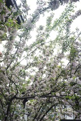 56D8553B-5AE8-4AF1-BDF9-E11B2A029C90/L0/001