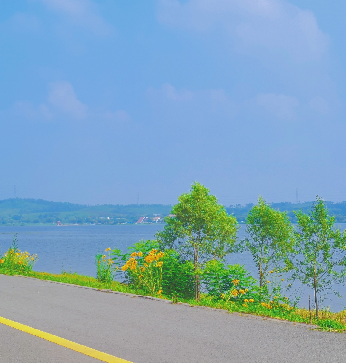 海边有风浪心中有晴天77