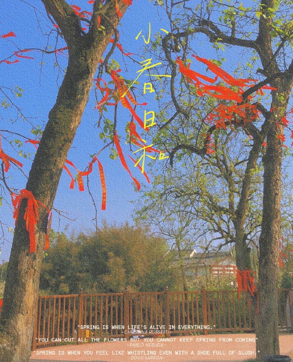 姻缘树果然是姻缘树枝干都是桃心的形状