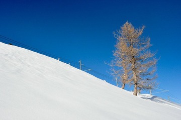 20100213_224338.jpg