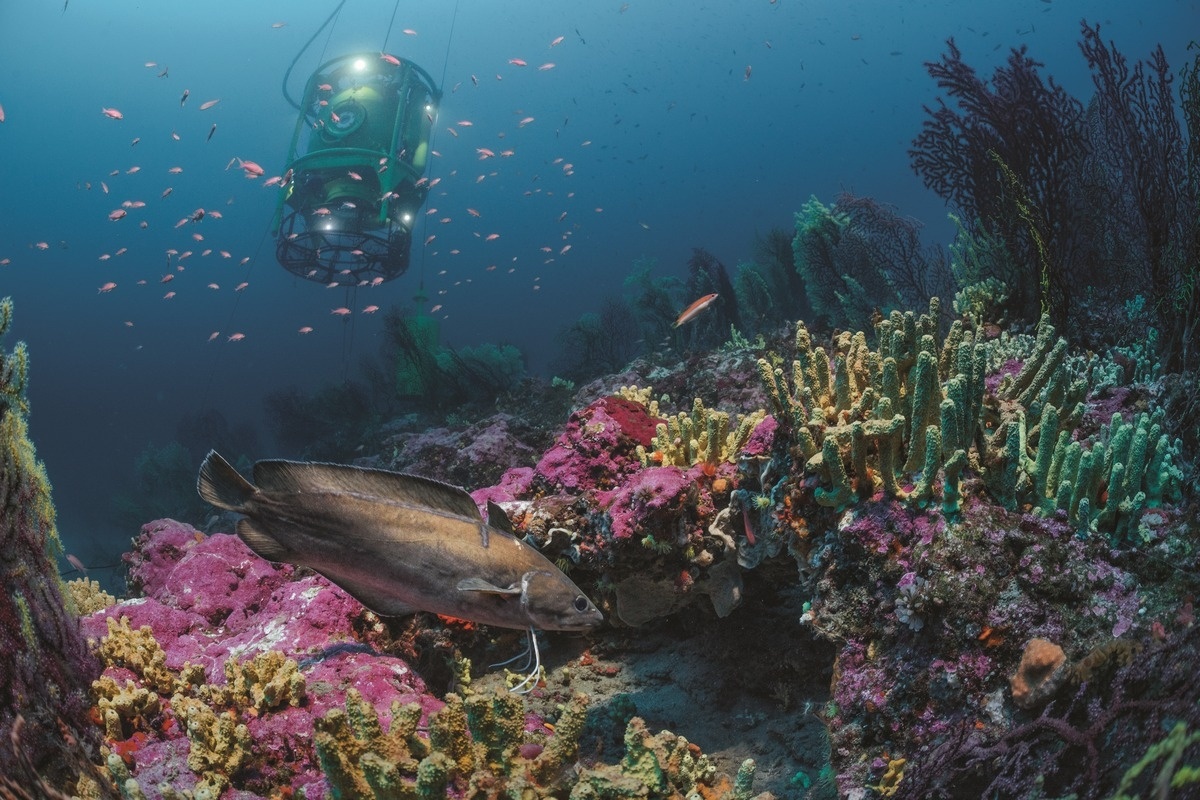 潜水钟载著作者的团队每天从浮动驳船上的加压舱前往