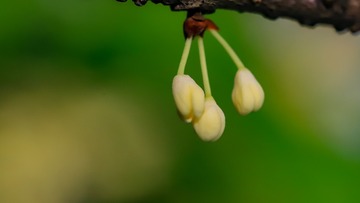 998753