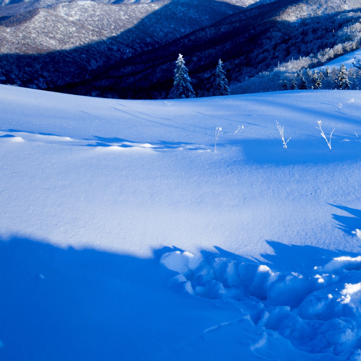 冰天雪地也是金山银山