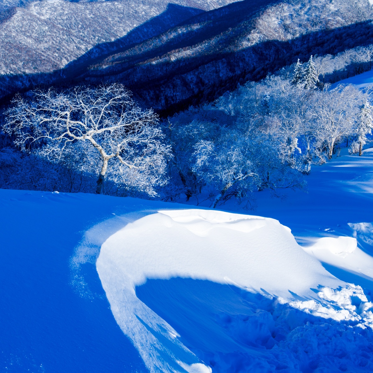 冰天雪地也是金山银山