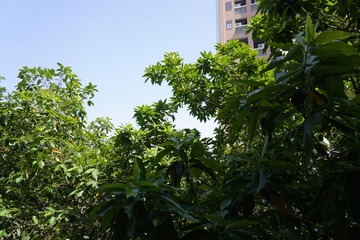 CA5BEE23-DE89-4332-8279-487831A2BD71/L0/001