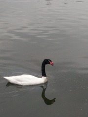 342