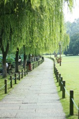 于孤山公园.jpg