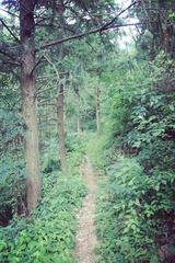 山路.jpg