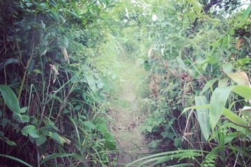 山路-3.jpg