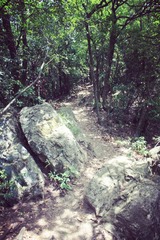 小山包.jpg