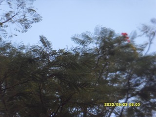 292062