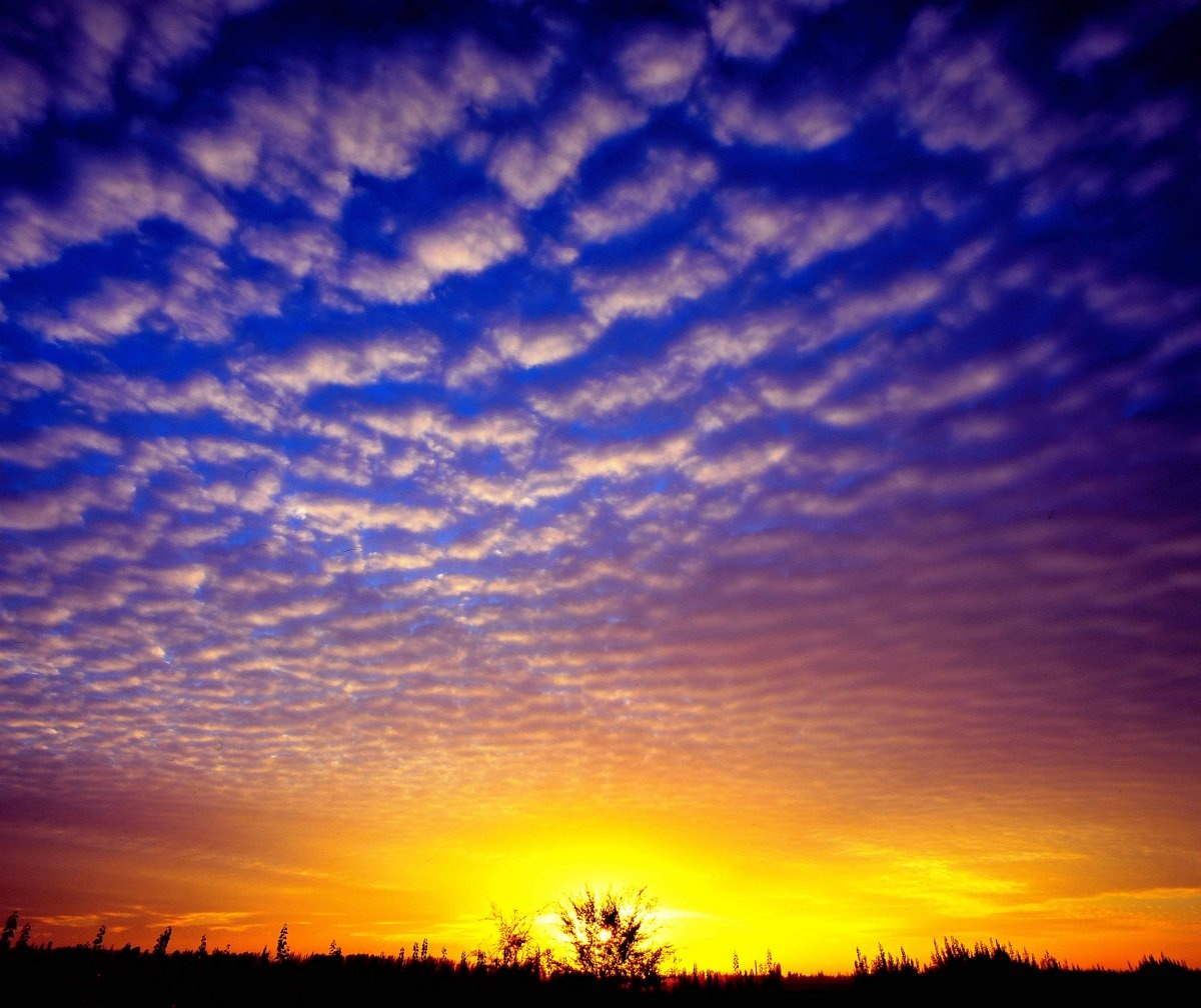 最近拍太阳的合集