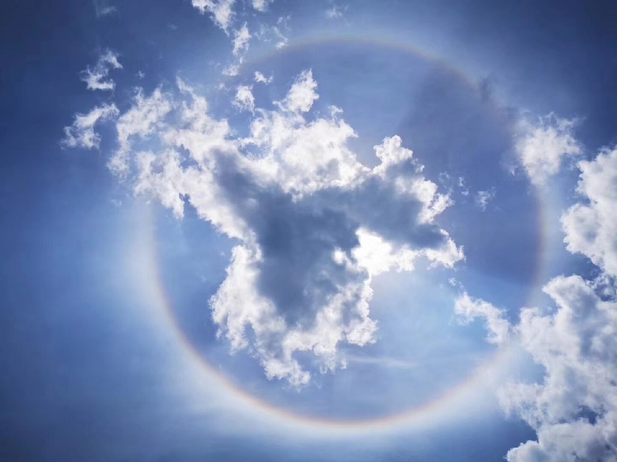 春时享受花红草绿冬时欣赏冰雪风霜晴天时爱晴雨天时爱雨
