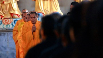IMG_1516.JPG