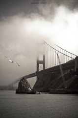 DSC_0969-3(new water mark).jpg
