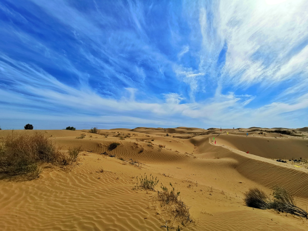 鄂尔多斯恩格贝