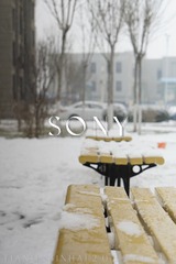 5E80A94D-B8A9-4C31-BDF1-92124514AB3E/L0/001