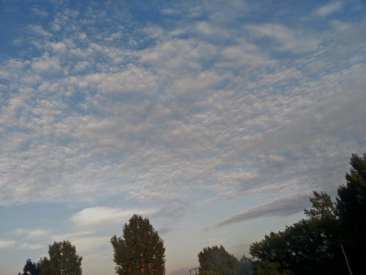 下午6点半的落日总是那么的耀眼它比不上中午的太阳也比不上早晨那