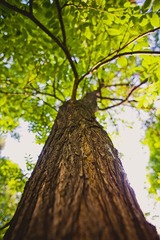 IMG_0852.jpg