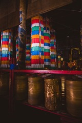 IMG_9938.jpg