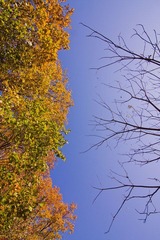 IMG_2802.jpg
