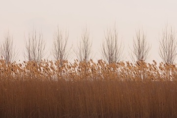 IMG_5867.jpg
