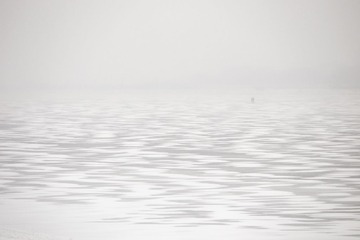 IMG_1851.jpg