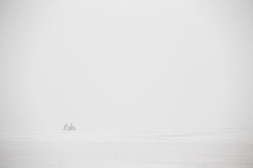 IMG_1519.jpg
