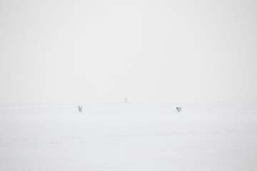 IMG_0903.jpg
