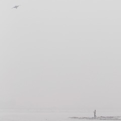IMG_1371.jpg