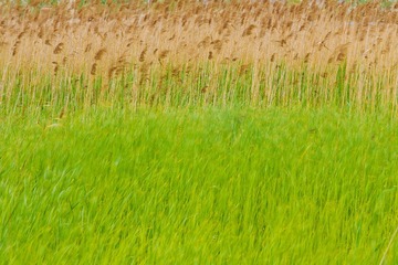 IMG_1143.jpg