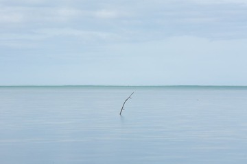 _AVI78731_2