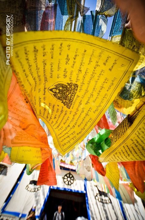 被风拂过的祈祷<br />
