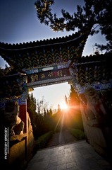DSC_7986-2.jpg