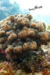 IMG_0050-2.jpg